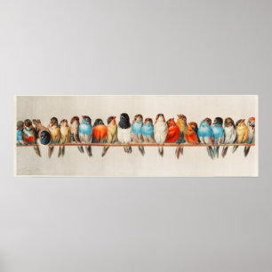 Een overzicht van de vogelstand  illustratie