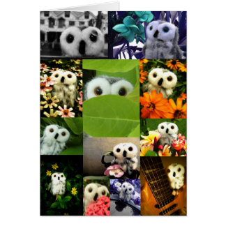 Een Owl genaamd Ophelia