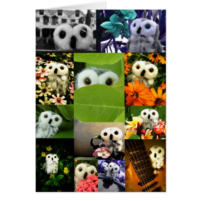 Een Owl genaamd Ophelia (Voorkant)