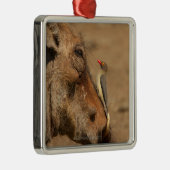 Een Oxpecker op een warthogs snuit, Isimangaliso, Metalen Ornament (Rechts)