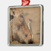 Een Oxpecker op een warthogs snuit, Isimangaliso, Metalen Ornament (Links)