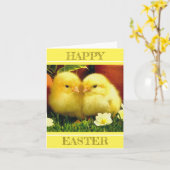 Een paar babykuikens in de lente kaart (Gele Bloem)