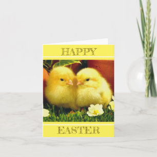 Een paar babykuikens in de lente kaart