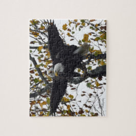 Een paar Bald Eagles tijdens het Herfst seizoen  Legpuzzel