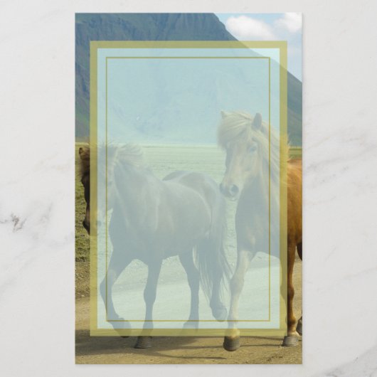 Een paar bruine IJslandse pony's Briefpapier (Voorkant)