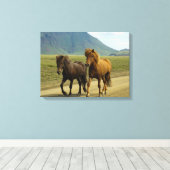 Een paar bruine IJslandse pony's Canvas Afdruk (Insitu (Houten vloer))