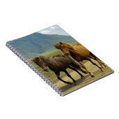 Een paar bruine IJslandse pony's Notitieboek (Rechterzijde)