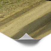 Een paar bruine IJslandse pony's Poster (Hoek)