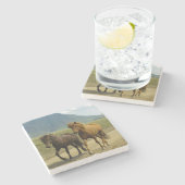 Een paar bruine IJslandse pony's Stenen Onderzetter (Zijkant)