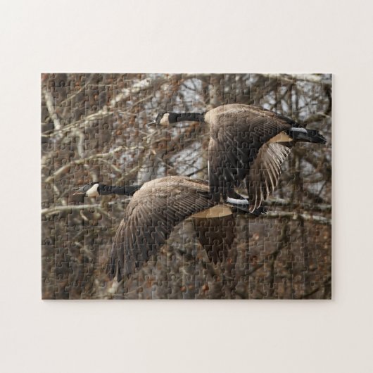 Een paar Canadese ganzen in het vliegtuig Legpuzzel (Horizontaal)