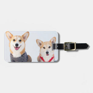 Een paar Corgis op een bank Bagagelabel