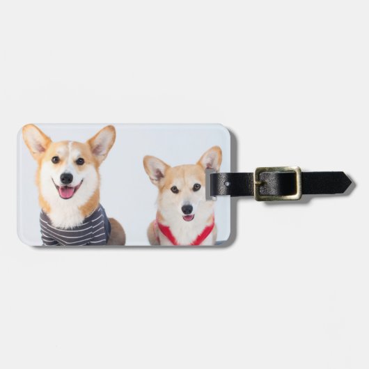 Een paar Corgis op een bank Bagagelabel (Voorkant horizontaal)