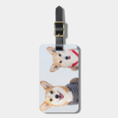 Een paar Corgis op een bank Bagagelabel (Voorkant verticaal)