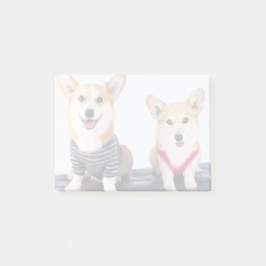 Een paar Corgis op een bank Post-it® Notes (Voorkant)