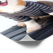 Een paar Corgis op een bank Poster (Hoek)