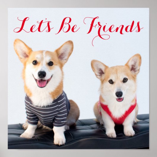 Een paar Corgis op een bank Poster (Voorkant)