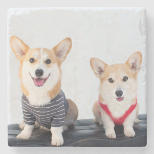 Een paar Corgis op een bank Stenen Onderzetter