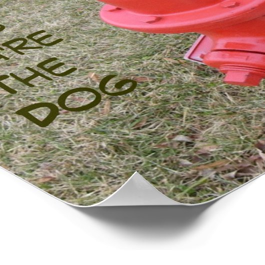 Een paar dagen dat je de hond bent, een paar dagen poster (Hoek)