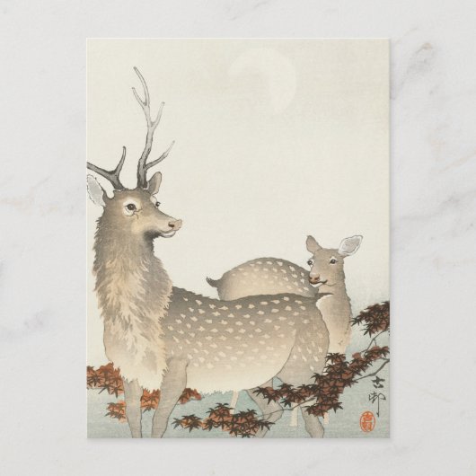 Een paar deers schilderen door Ohara Koson Briefkaart (Voorkant)
