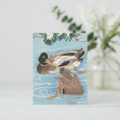 Een paar eenden in de Qater door Ohara Koson Briefkaart (Staand voorkant)