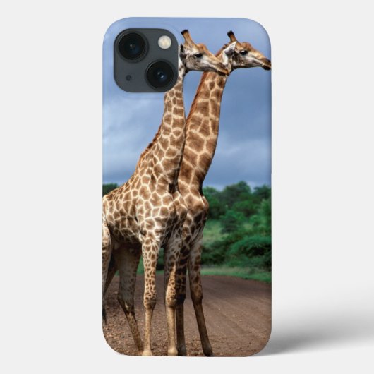 Een paar Giraffes op de weg, Kruger National Case-Mate iPhone Case (Achterkant)