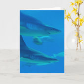 Een paar haaien notenkaarten kaart (Gele Bloem)