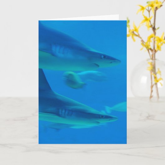 Een paar haaien notenkaarten kaart (Gele Bloem)