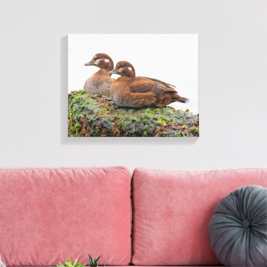 Een paar Harlequin Ducks op de Rocks Canvas Afdruk (Insitu (Woonkamer))