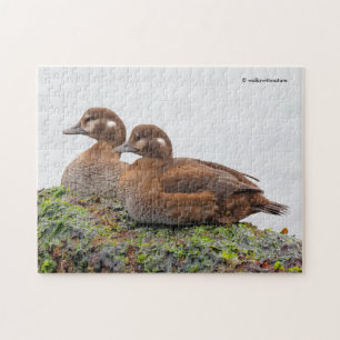 Een paar Harlequin Ducks op de Rocks Legpuzzel