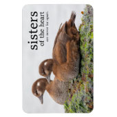 Een paar Harlequin Ducks op de Rocks Magneet (Verticaal)