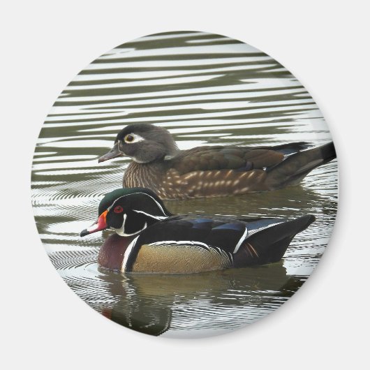 Een paar houten eenden magneet (Voorkant)