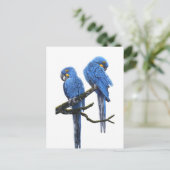 Een paar Hyacinth Macaws Briefkaart (Staand voorkant)