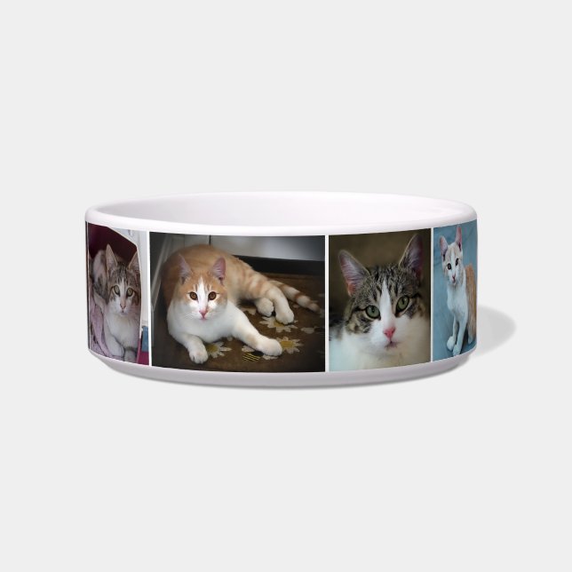 Een paar katjes voerbakje (Voorkant)