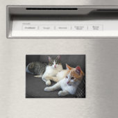 Een paar Katten Magneet (Insitu (Vaatwasser))