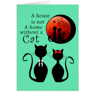 Een paar katten thuis