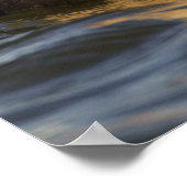 Een paar klevende eiders in een toendasvijver poster (Hoek)