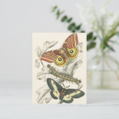 Een paar maanden Briefkaarten (Staand voorkant)