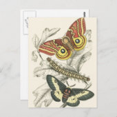 Een paar maanden Briefkaarten (Voorkant / Achterkant)