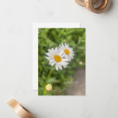 Een paar madeliefjes notitiekaartje (Voorkant / Achterkant in situ)