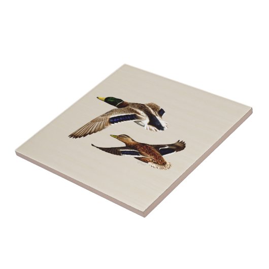 Een paar Mallard Ducks Tegeltje (Zijkant)