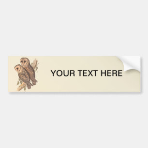 Een paar Maskbarnbezit op een tak (schilderij). Bumpersticker
