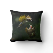 Een paar noordelijke flikkers