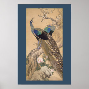Een paar paartjes pacocks in de lente van Imao Kei Poster
