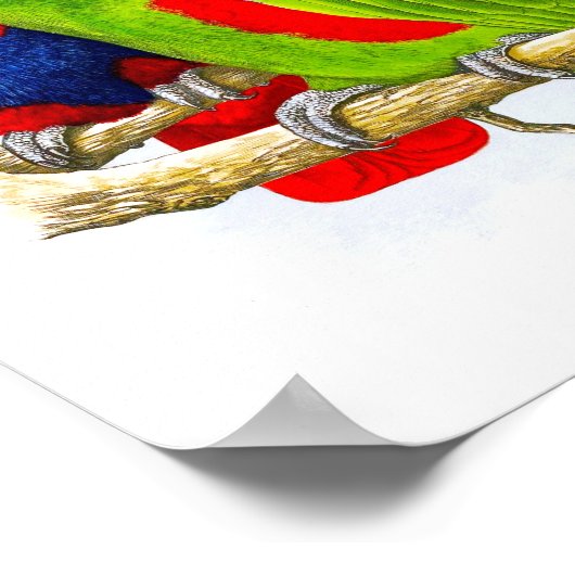 Een paar parrots nr.5 Antiek Bird Repro Print (Hoek)