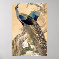 Een paar pauwen in de lente 1901 Japanse kunst