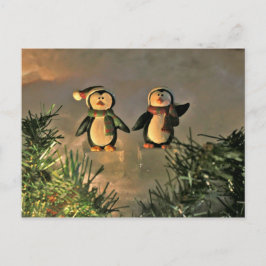 Een paar pinguïns briefkaart