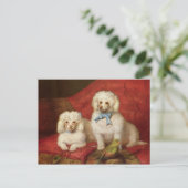 Een paar Poedels Briefkaart (Staand voorkant)