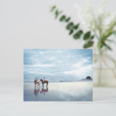 Een paar rijpaarden op het strand van Parkiri in N Briefkaart (Staand voorkant)