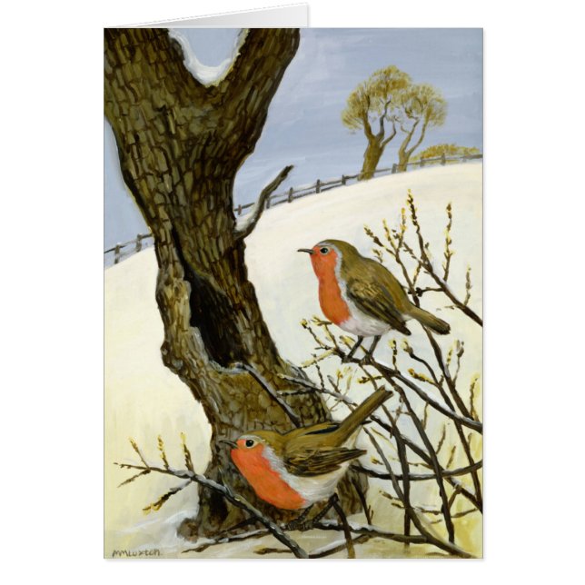 Een paar Robins (Voorkant)