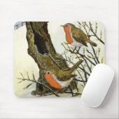 Een paar Robins Muismat (Met muis)